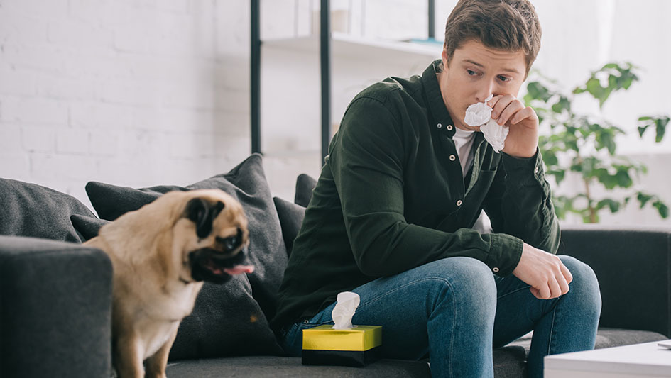 Getting an air purifier is one of the best methods to boost your home’s indoor air quality. Find out more about the three smartest options. 